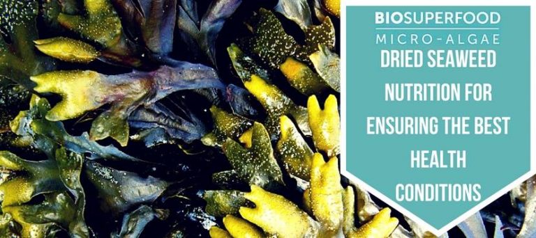 Dried Seaweed Nutrition for Ensuring the Best Health Conditions