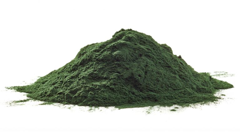 Spirulina Pacifica microalgae